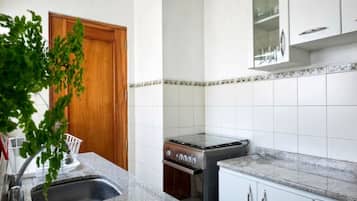 Departamento ejecutivo, 2 habitaciones, vista a la ciudad | Cocina privada | Refrigerador con congelador, microondas, horno y parrilla de estufa