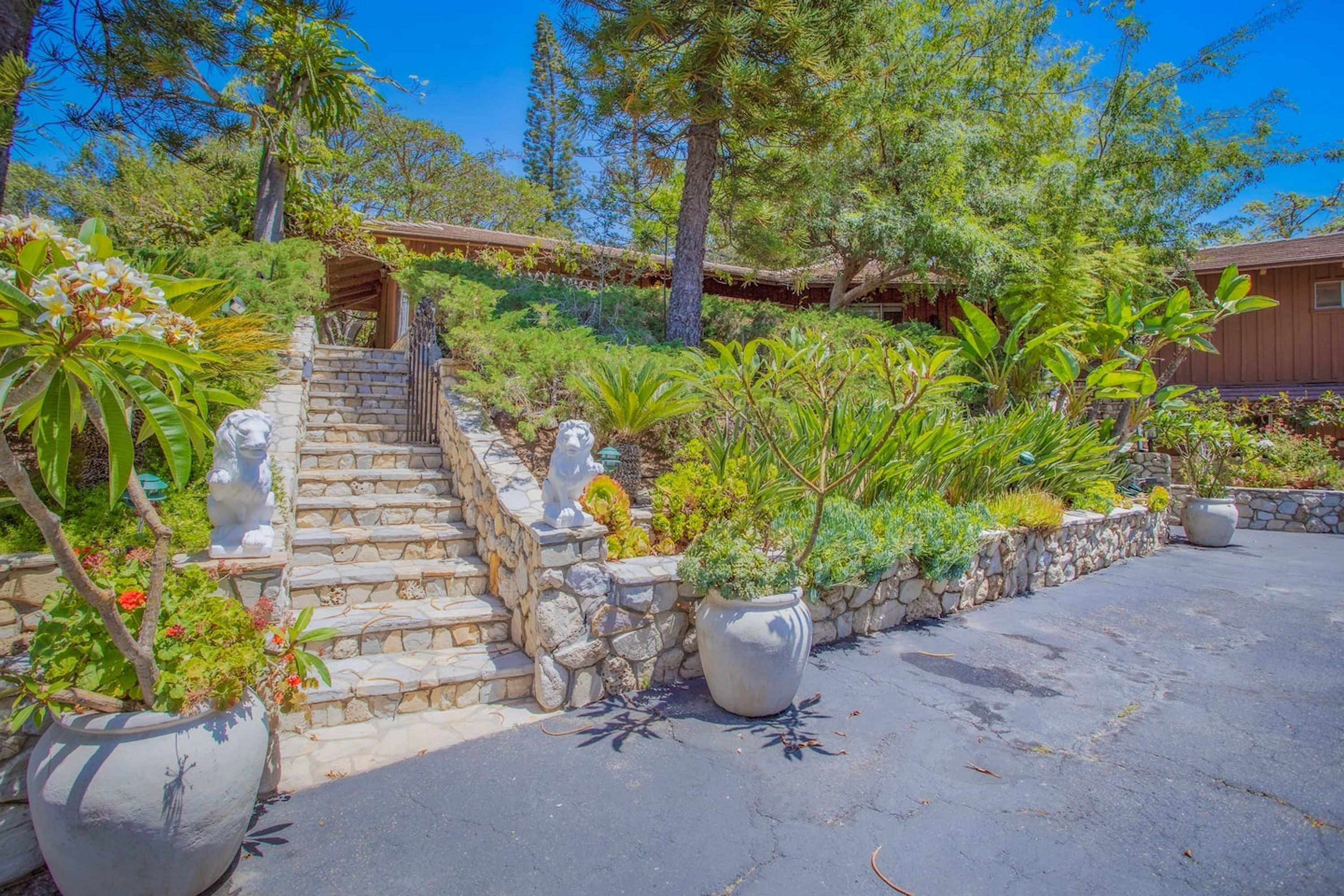 Una escalera de piedra conduce a una estructura de madera, rodeada de abundante vegetación y plantas en macetas.
