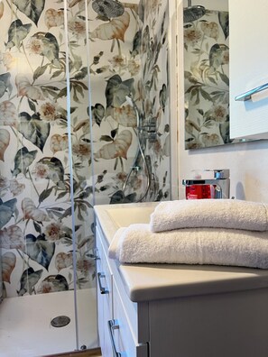 Shower, hair dryer, bidet, soap
