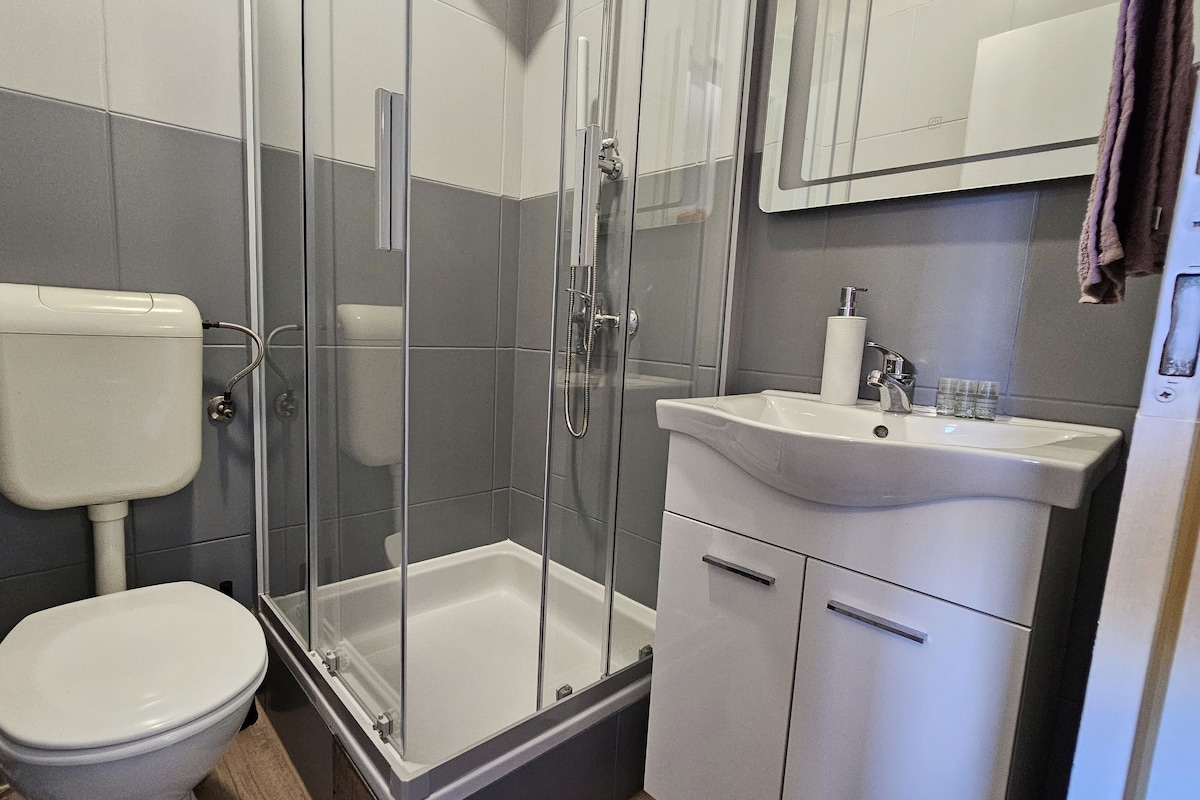 A bathroom with a toilet, a glass-enclosed shower, and a sink with a mirror above it.