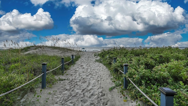 Un sentier sablonneux menant à la plage, bordé de verdure et de poteaux bleus.