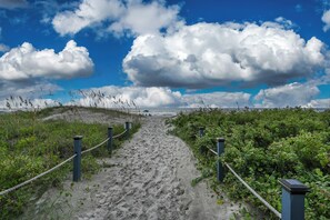 Um caminho de areia serpenteia até a praia, ladeado por vegetação e postes azuis.