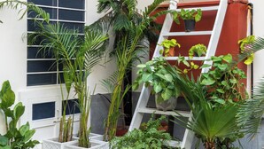 A tiled courtyard with potted plants, a white ladder, and a red wall. - Heart Of The City By Rashmi (Jaipur)