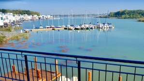 Un puerto deportivo con barcos amarrados, una cubierta de madera y vistas a edificios y árboles al fondo.