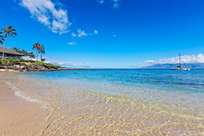 A beach with clear water, palm trees, and a boat named 'GEMINI' in the distance.
