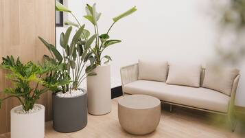 EntrĂ©e de lâhĂ©bergement