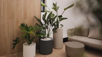Ingang accommodatie