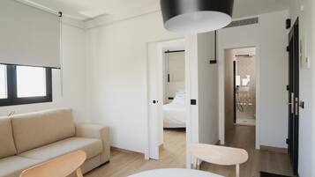 1 chambre, chambres insonorisées, fer et planche à repasser