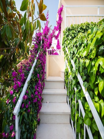 Apartment (One Bedroom Apartment with Terrace) | Exterior. Apartments Roda -