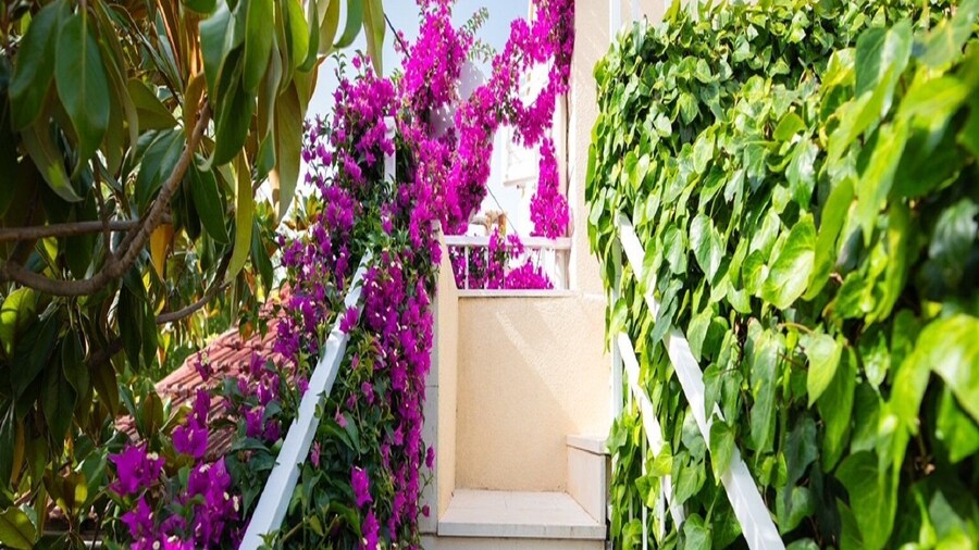 Apartments Roda -