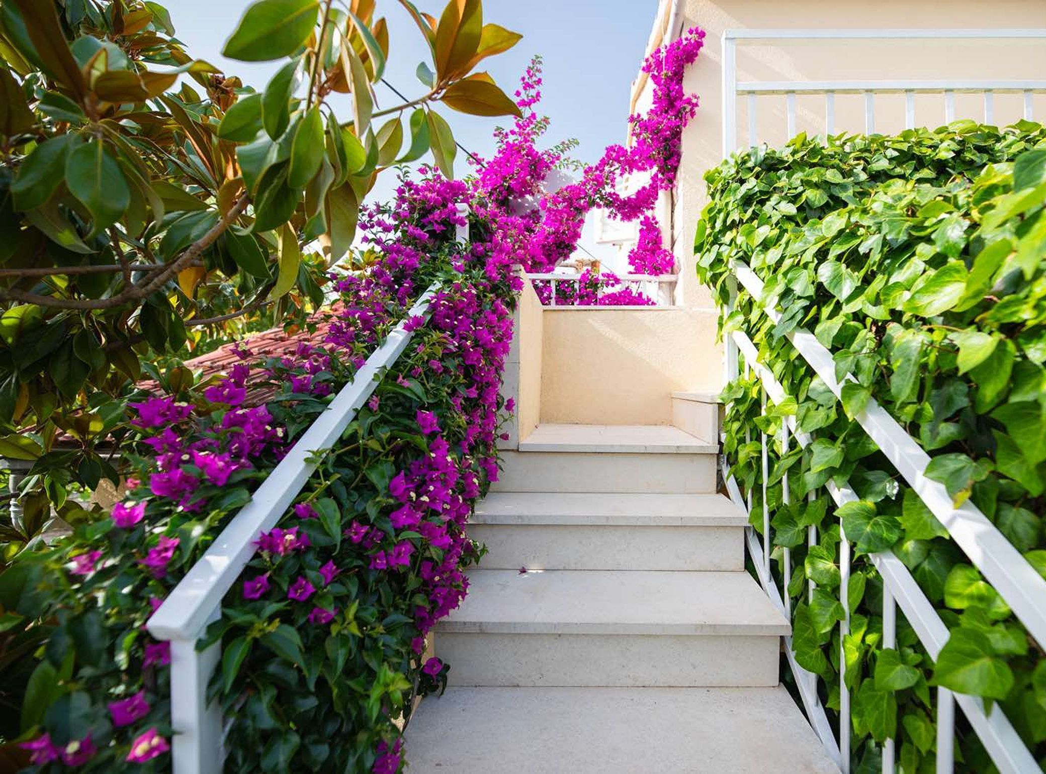 Leilighet (One Bedroom Apartment with Terrace) | Terrasse/patio