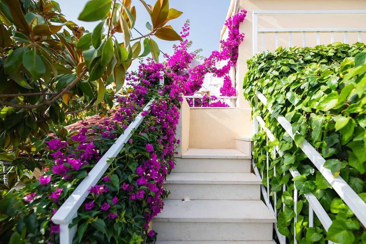 Huoneisto (One Bedroom Apartment with Terrace) | Terassi/patio