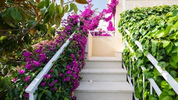 Apartment (One Bedroom Apartment with Terrace) | Terrace/patio