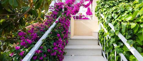 Apartment (One Bedroom Apartment with Terrace) | Terrace/patio