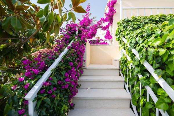 Apartment (One Bedroom Apartment with Terrace) | Terrace/patio