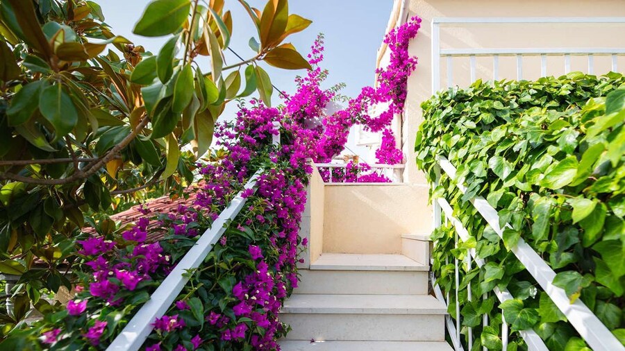 Apartments Roda -