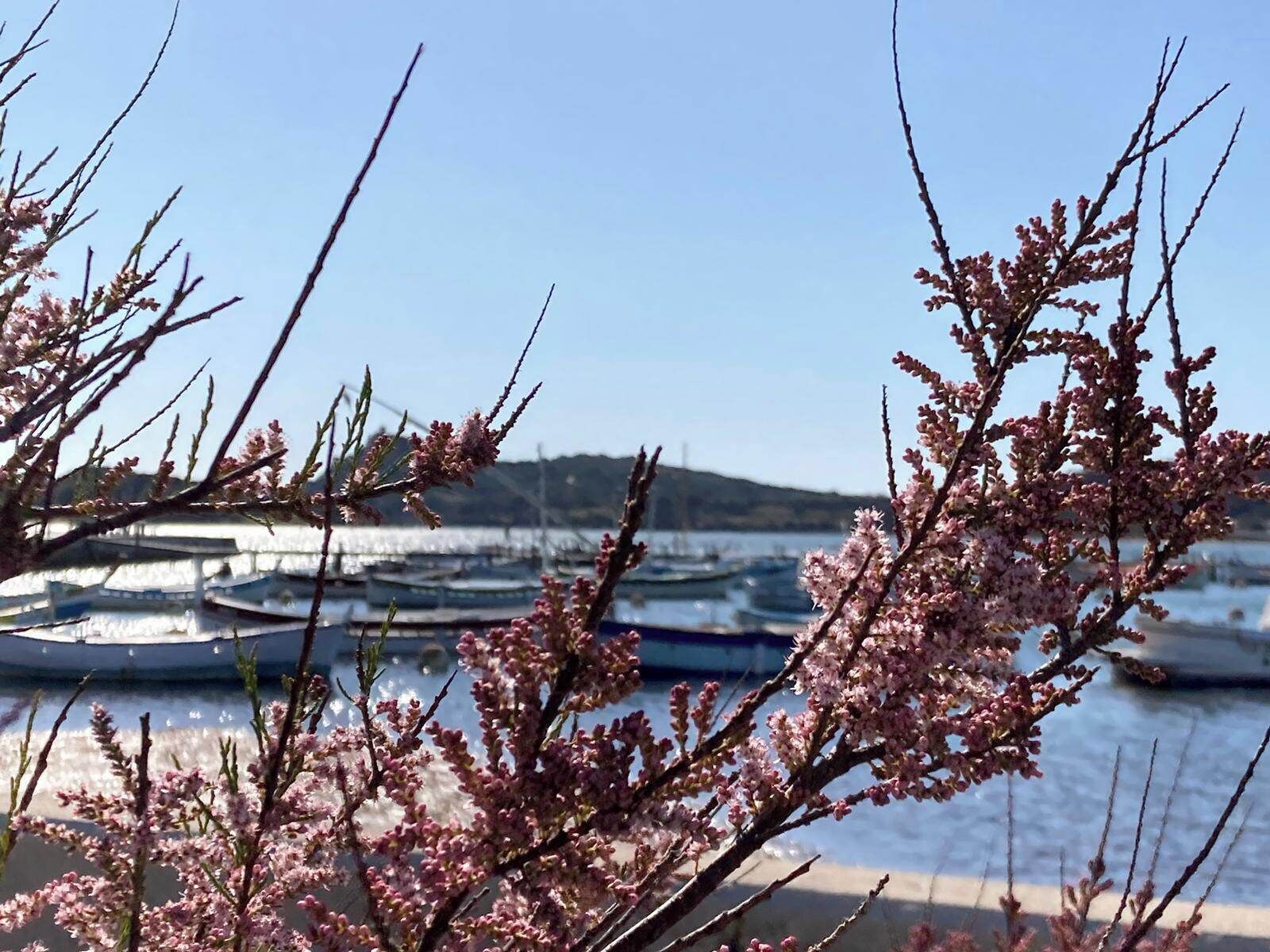 Jachthaven