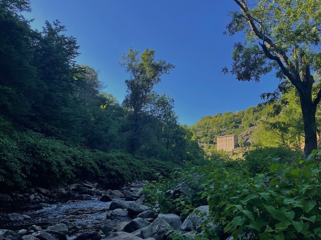 Un paysage naturel comprenant une rivière, des rochers et des arbres.