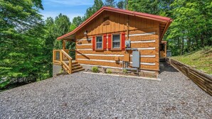 Une cabane en rondins avec un toit rouge, une façade en bois et un petit porche.