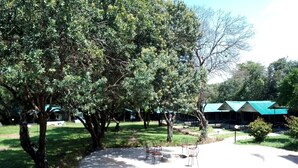 Un parque con árboles, un sendero y un edificio con techo verde.