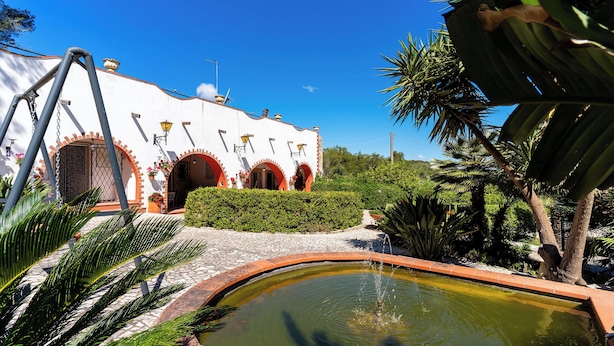 Pool - 3932 MDL - Appartamento First by Barbarhouse (Neviano)