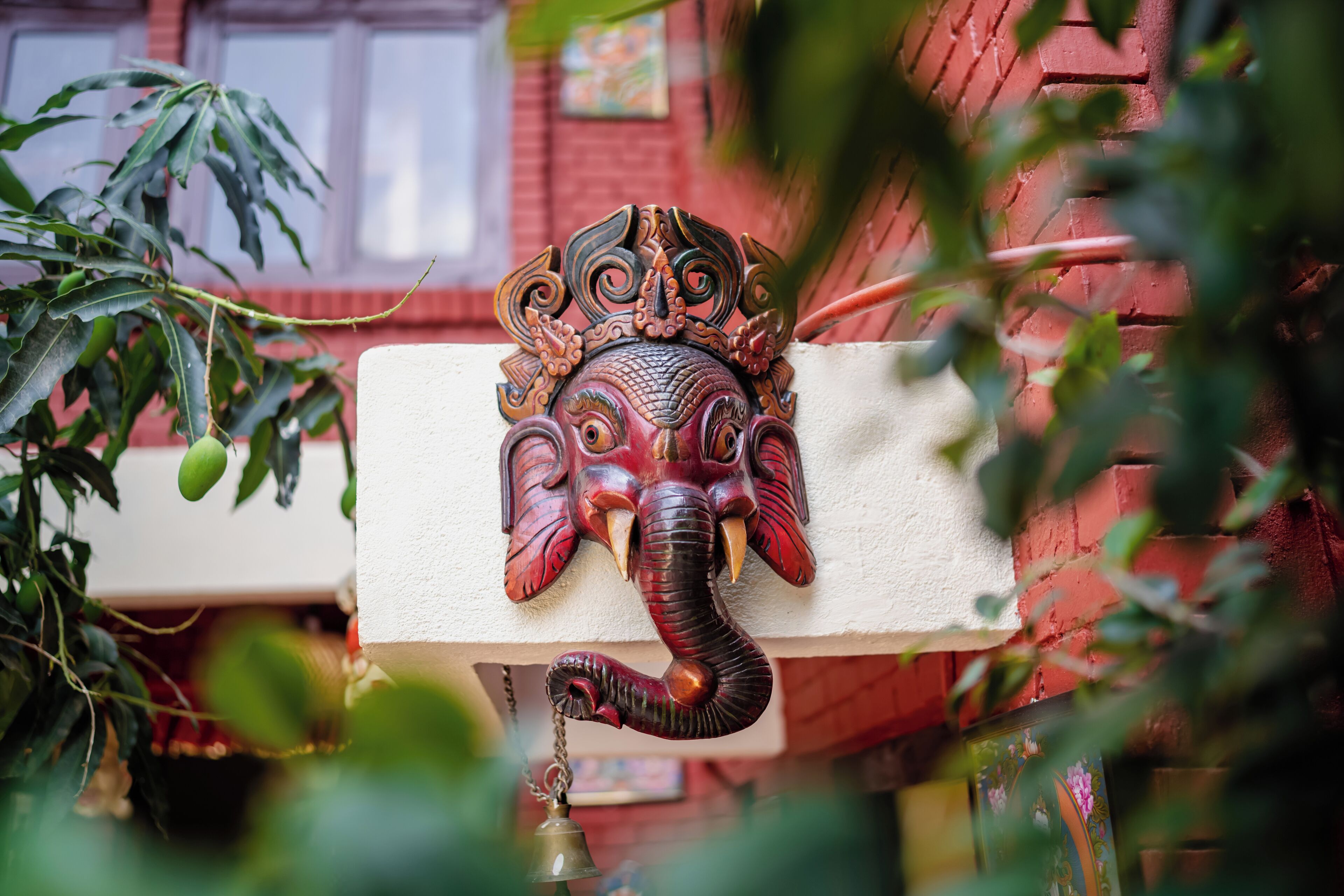 Una escultura decorativa de cabeza de elefante fijada en una pared, rodeada de follaje.