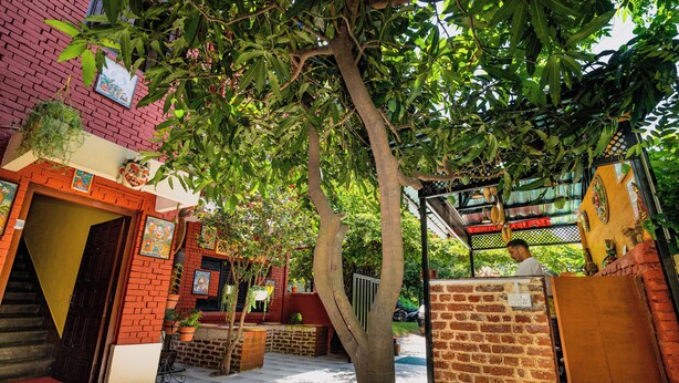 Un patio con un árbol, un muro de ladrillo y una verja de madera.