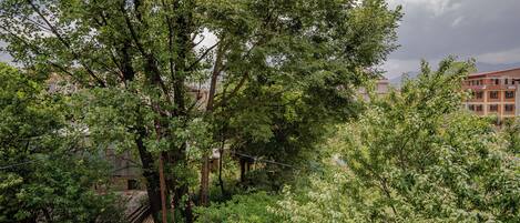 Un exuberante jardín con follaje denso y un puente de madera.