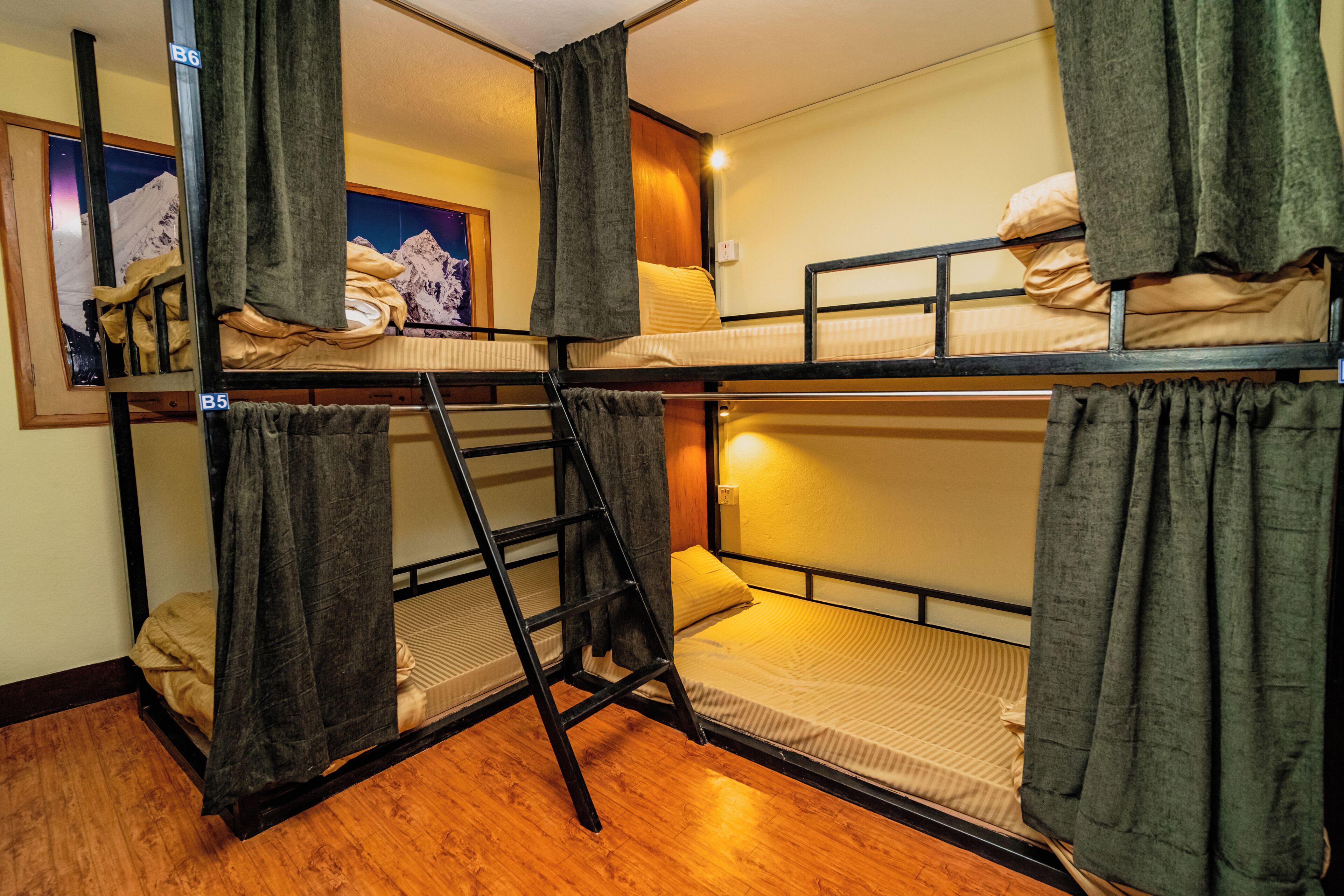 A bunk bed room with a ladder, curtains, and a painting on the wall.