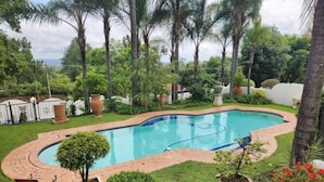 A swimming pool surrounded by a brick deck, palm trees, and various plants.