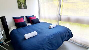 Fer et planche Ă repasser, Wi-Fi, draps fournis