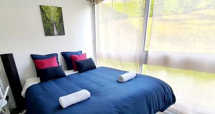 Charme et Bien-ĂȘtre Ă 10 Minutes du ChĂąteau de Versailles