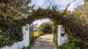 Un sendero pavimentado conduce a una entrada con portón y un cartel que indica 'CASH NEIGHBORHOOD'.