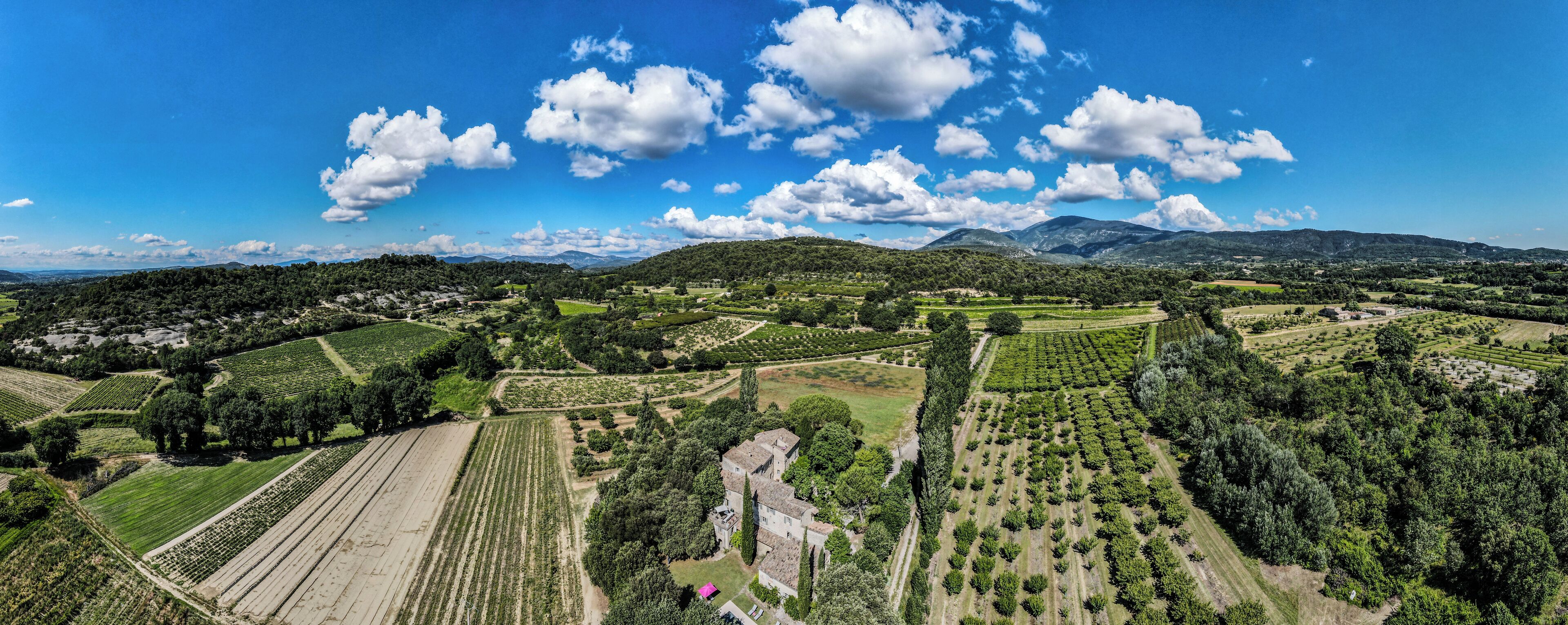 An aerial view of a vineyard with rows of grapevines, a historic building, and rolling hills in the background.