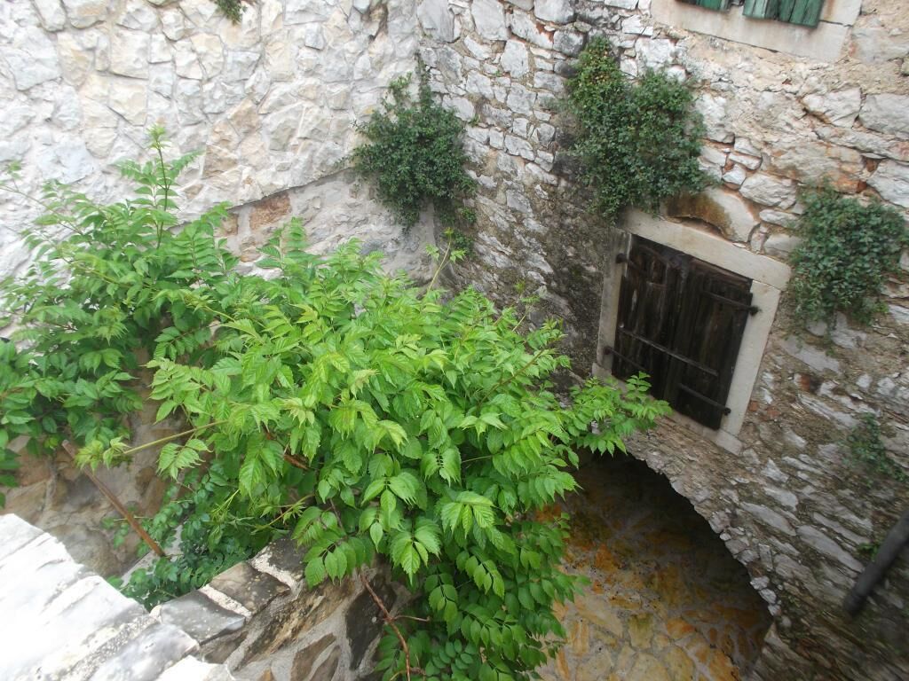 Appartement (One Bedroom Apartment with Sea View a) | Luchtfoto