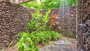Un mur de pierre agrémenté de plantes tropicales, un espace douche et un chemin de pierre.
