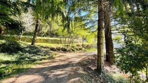 A gravel path in a forested area with trees and a stone wall in the background.