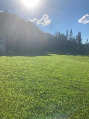 Área da propriedade