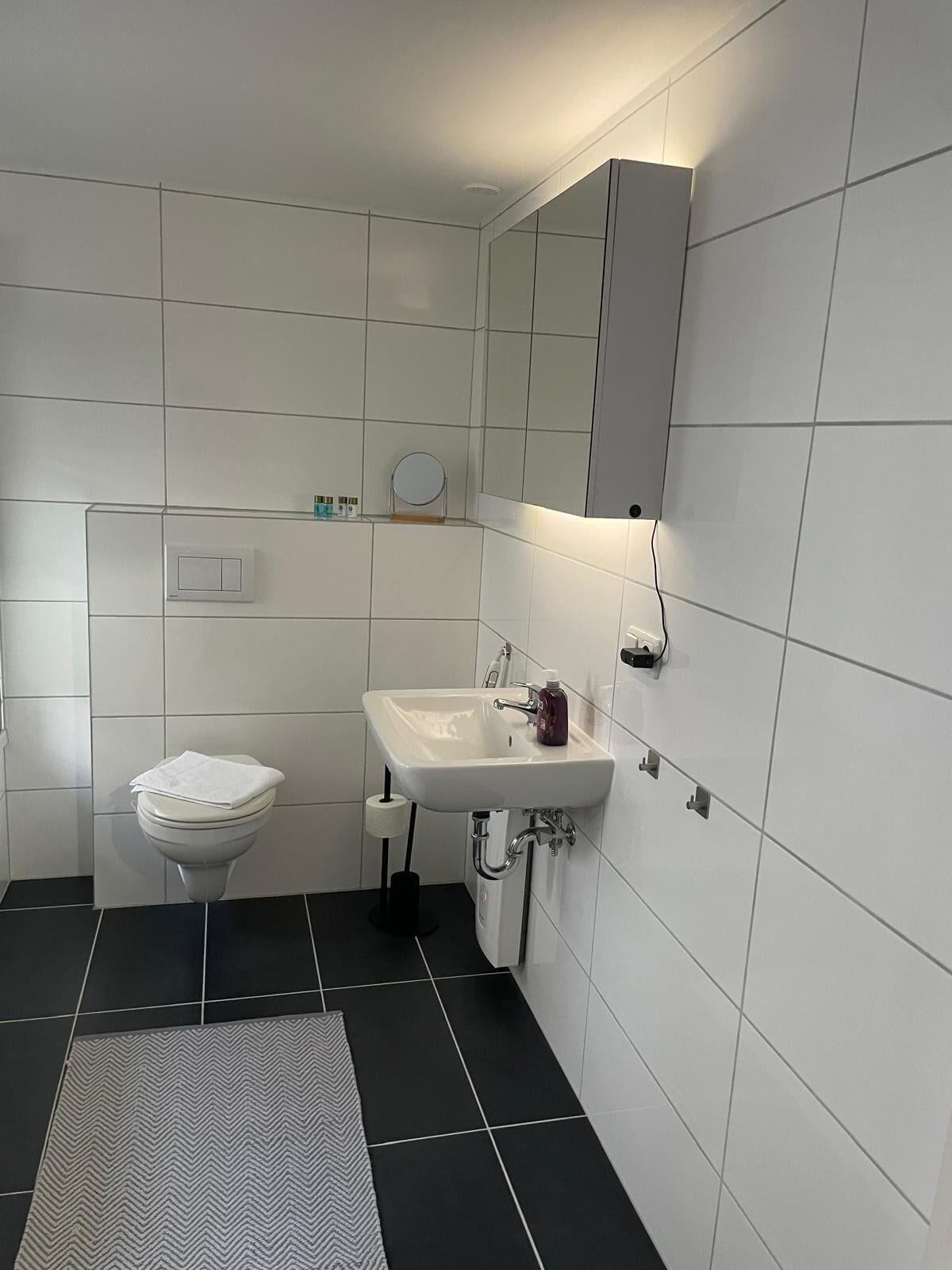 Ein modernes Badezimmer mit Toilette, Waschbecken und Spiegel.