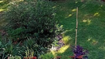 Ărea da propriedade