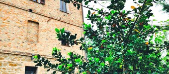 3-bedroom apartment in lovely Felcine with WiFi