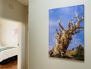 1 chambre, accĂšs Ă Internet