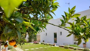A well-maintained garden with a white building in the background. - Corte Mercurio Beb (Ugento)