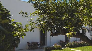 Un edificio blanco con un patio amoblado, incluyendo mobiliario exterior y un árbol.