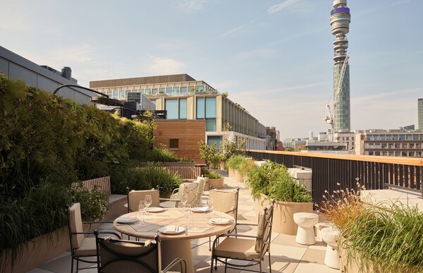 The Newman - Bloomsbury