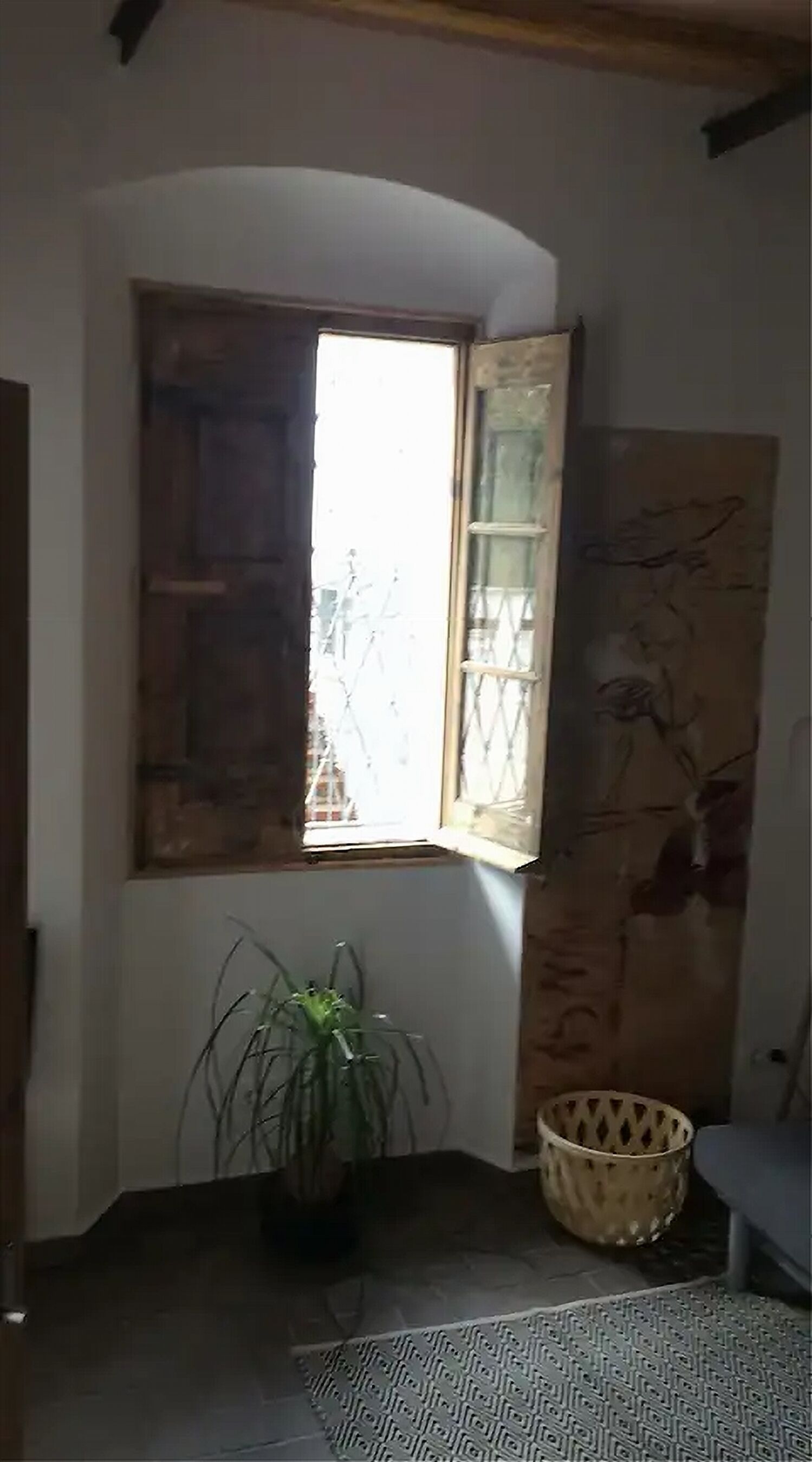 Quarto com janela, planta e cesta.