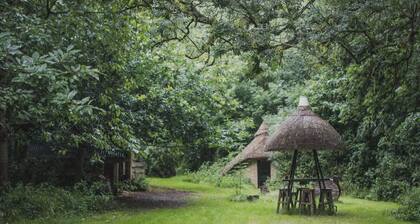 Thatched roundhouse in Somerset woodland; off-grid relaxation & campfire cooking