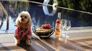 A small dog sitting on a deck by a pool, with a fruit bowl and a bottle of wine nearby. - Viola Hotel Budva (Budva)