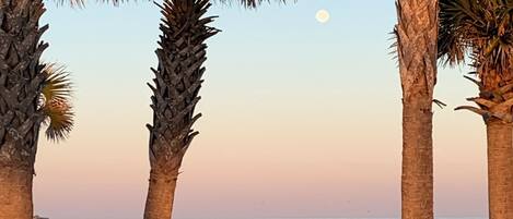 Sun loungers, beach towels