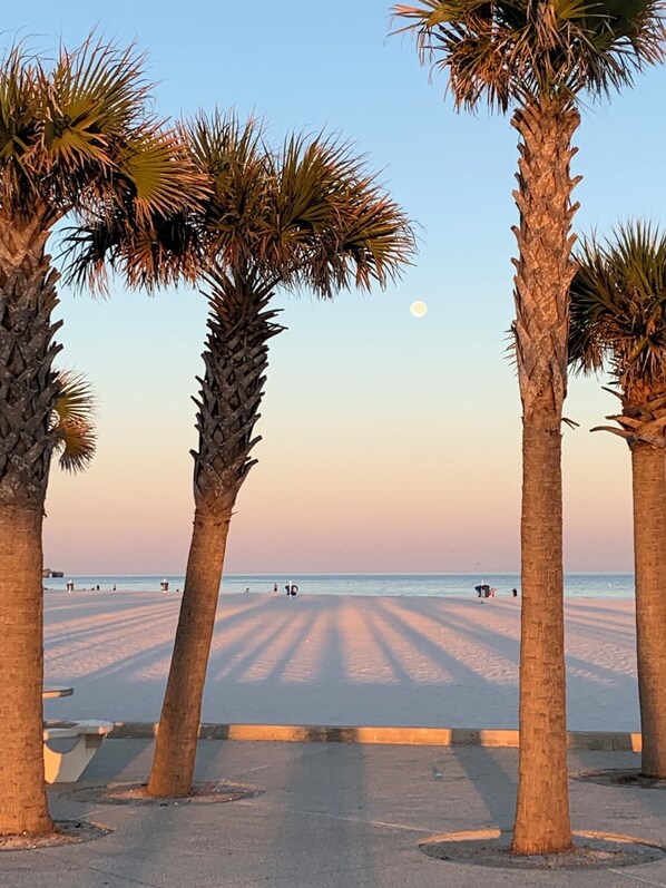 Sun loungers, beach towels